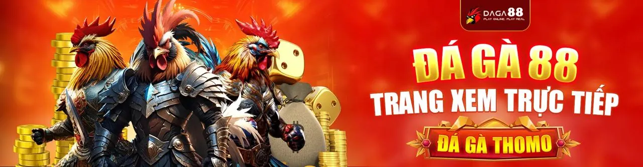 Đá gà Thomo trực tiếp, tin tức cá cược mới nhất